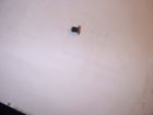 6458544 Gm Nos Chevelle Chevy Nova Clock Hole Plug
