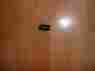 7135141 Bmw Nos E39 E46 E60 E90 F10 F30 Cigarette Lighter Dash Plug