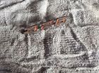 9797903 Gm 1967 Pontiac Lemans