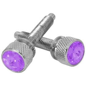 Grand General 67144 Chrome Plated Short Dash Screws With Blue Jewel For Kenworth