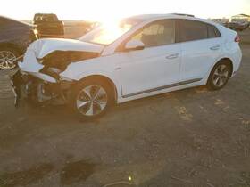 641-10191l Hyundai 17-19 Ioniq Left Front Door Switch