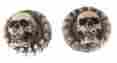 Sk009-rk Bawdypartz 1969 Ford T-bird Galaxie Skull Radio Knobs Goth Punk 4 Pc Set Made In Usa