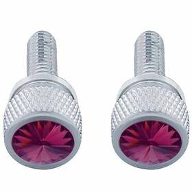 United Pacific 23811p Chrome Short Dash Panel Screws With Purple Jewels For Kenworth