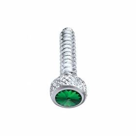 23841 United Pacific Dash Panel Screw 2 Pack Chrome Short For Freightliner