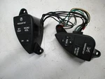 2613126C91 International Steering Wheel Controls Genuine Switch. Fixed Price $199.00.