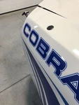 2010-2014 Ford Mustang Cobra Jet Cj & Shelby GT500 Radio Antenna Delete Oem. Fixed Price $11.29.