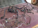 1965 1966 Mustang Wiring Harness Under Dash Original Oem Ford 1964-70 Fuse Wire. Fixed Price $209.60.