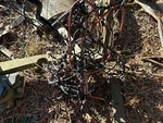 12 Dodge Challenger Interior Dash Fusebox Accessory Unified Body Wiring Harness. Fixed Price $489.97.