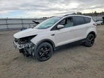 2017 Ford Escape Hood Panel White Oem Used Local Pickup Only 4DR Suv. Fixed Price $382.19.