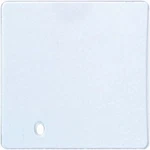 Oer LEN27 Replacement Clock Lens For 1969 Camaro, Clear. Fixed Price $19.99.