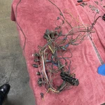 1962 1963 Ford Falcon Ranchero Dash Main Wiring Harness Manual Trans Oem Vt. Fixed Price $189.99.