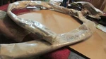 Nos 1970 Ford Galaxie Ltd Xl Custom 500 Country Squire Rh Air Vent Cable New. Fixed Price $124.99.