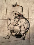 1964 1/2 V8 Mustang Underdash Wiring Harness Original Ford Really Nice. Fixed Price $265.00.