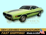 1973 1974 Dodge Charger Mid Body Stripes Decals Graphics Kit Complete!. Fixed Price $199.00.
